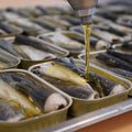 Hink Fisch in Rapsöl